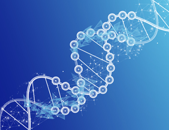 南宫NG·28(中国)最新官方网站